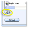 Image of the Preview button.