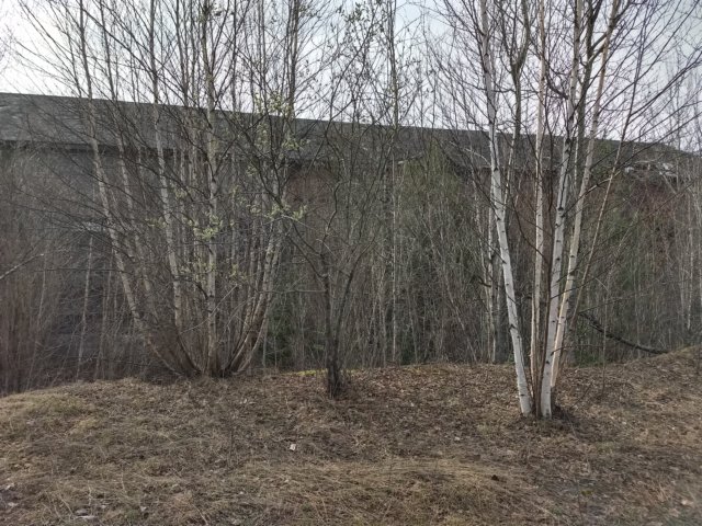 img_20180506_172333205_hdr.jpg