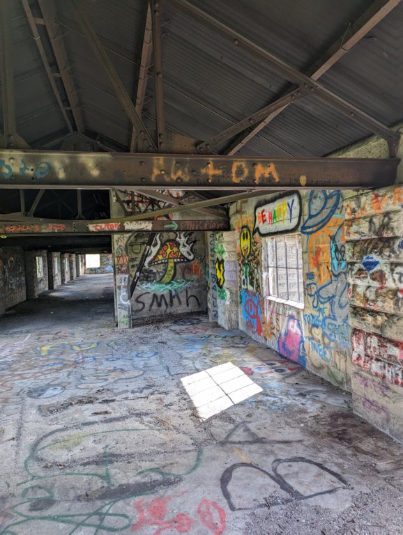 pxl_20240529_203843174.jpg