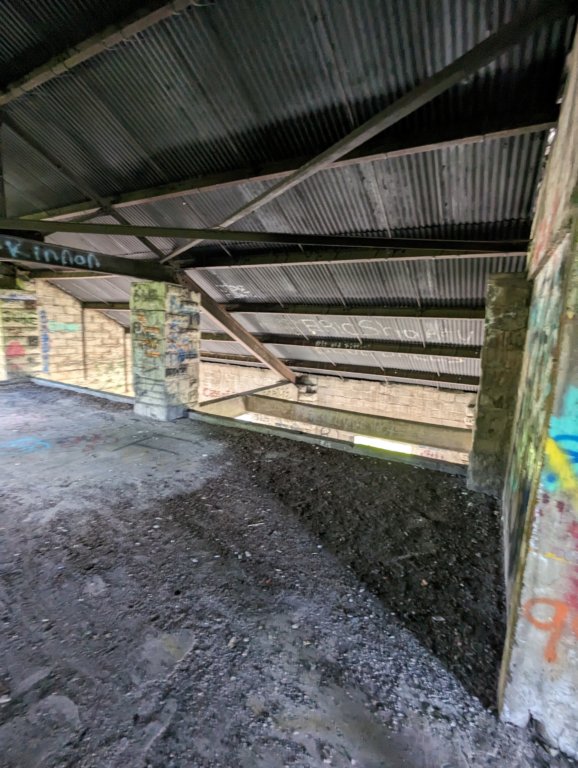 pxl_20240529_203918342.jpg