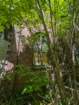 pxl_20240616_154411146_small.jpg