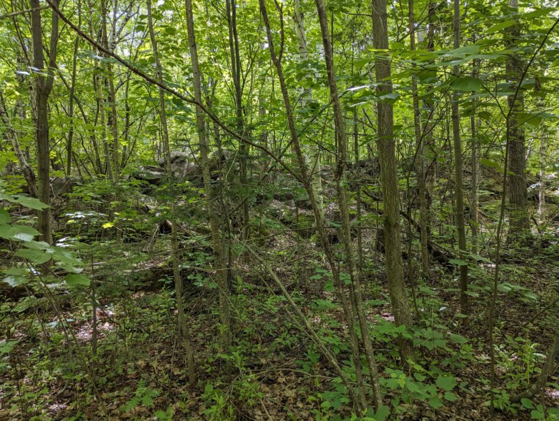 pxl_20240616_155613801.jpg