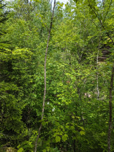 pxl_20240616_160323594.jpg