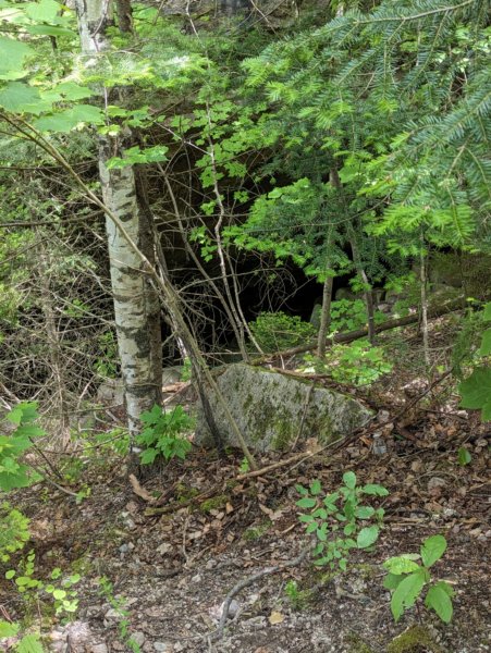 pxl_20240616_160507614.jpg