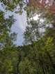 pxl_20240616_160934476_small.jpg