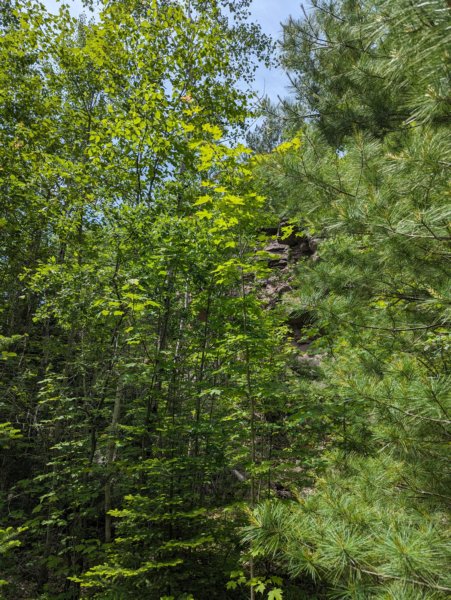 pxl_20240616_162946780.jpg