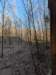 pxl_20260424_222237878_small.jpg