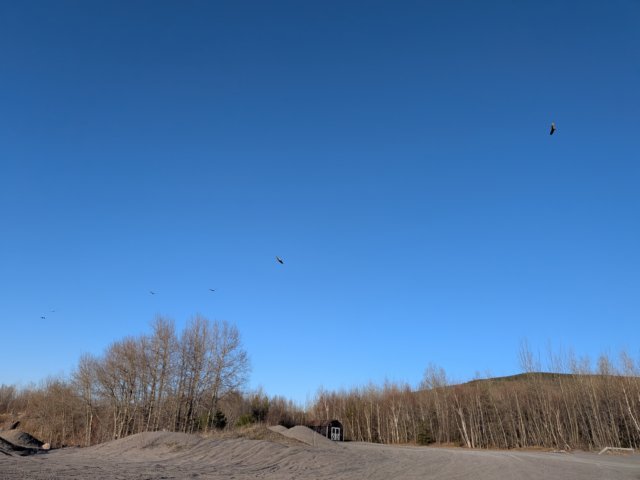 pxl_20260424_224353728.jpg